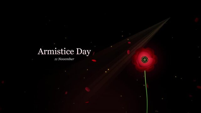 Red poppy flower with falling petals motion background