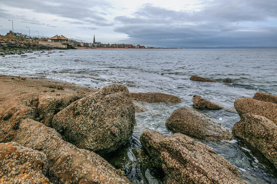 Algae and mussels covered stones at Edinburgh beach, overcast sky in background