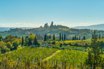 Obraz premium San Gimignano Skyline View with Vineyards and Cypresses, Tuscany