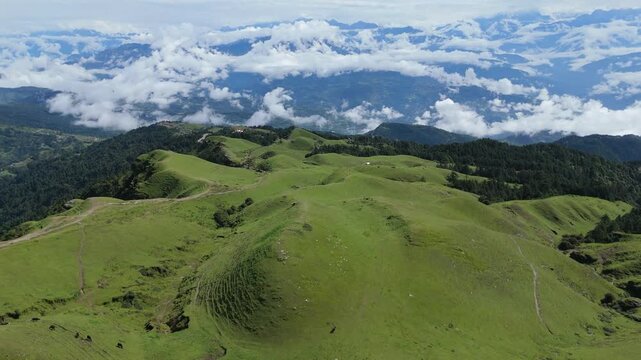 Breathtaking aerial landscape of a lush green rolling mountain ridge overlooking snow-capped Himalayan peaks above the clouds