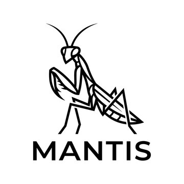 Minimalist Praying Mantis Line Art Logo Design and Icon