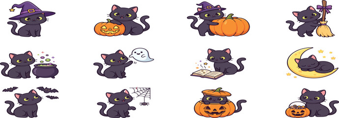 Obraz premium Halloween Black Cat Characters with Pumpkins Witch Hats and Costumes