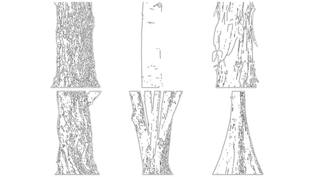 Set of six different tree trunks with various bark textures, handdrawn vector illustration style, isolated on transparent background