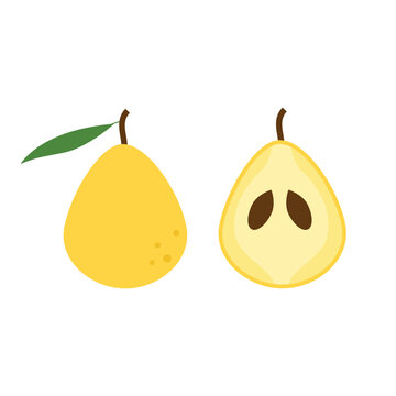 Wild Pear Fruit Whole and Half Cut Vector Illustration.

