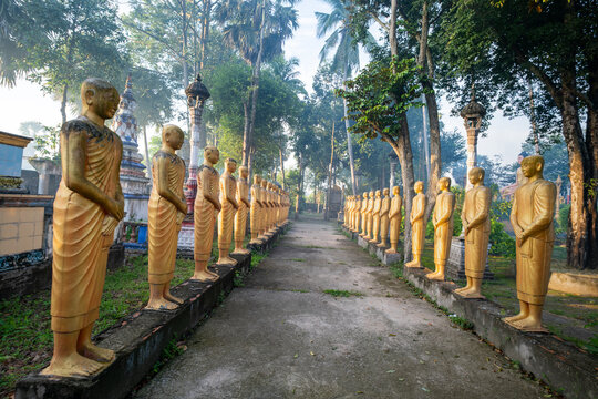 Rows of golden Buddhist monk statues in a peaceful temple garden, surrounded by trees and tropical greenery in Vietnam.