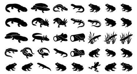 Fototapeta premium Amphibian and Reptile Silhouettes Collection, 36 Vector Icons for Wildlife and Nature Themes, Black and White Animal Graphics