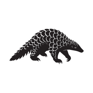 Pangolin silhouette depicts the scaled mammal against a white background