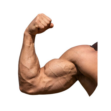 Muscular man flexing his arm in gym