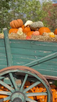 K&uuml;rbisse und Mais auf einem rustikalen Holzwagen mit Stroh. Herbstliche Erntedekoration mit orangefarbenen K&uuml;rbissen in l&auml;ndlicher Atmosph&auml;re.