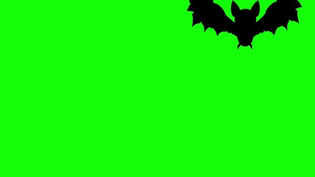 Scary flock of flying bats with motion graphics, halloween transition. bat animation