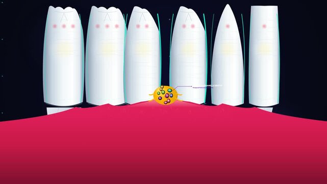 Animation demonstrating how a water flosser works to clean teeth, remove plaque, and wash away bacteria from the gum line to improve oral hygiene and dental care