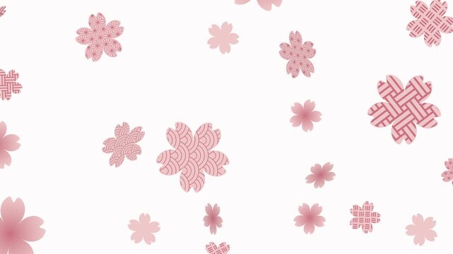 Japanese Wagara Pattern Sakura Petals Falling Seamless Loop Horizontal 4K