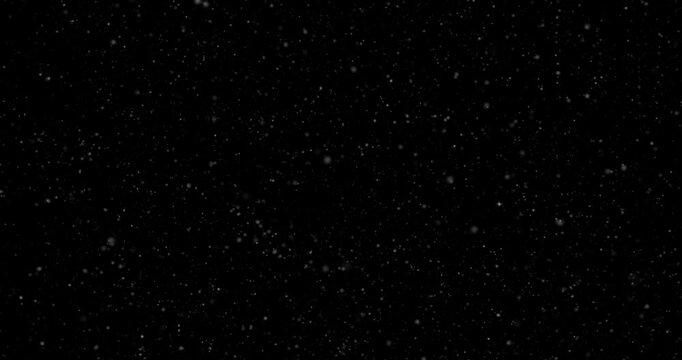 Realistic falling snowflakes loop motion on black background.
