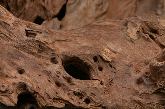 Natural Driftwood Texture Background