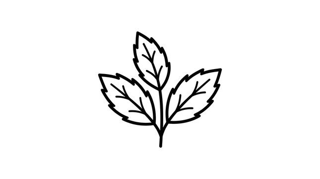 Minimalist three-leaf botanical illustration with clean line art for branding and editorial use