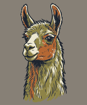 Vintage hand drawn llama head illustration with rustic fur texture and earthy tones