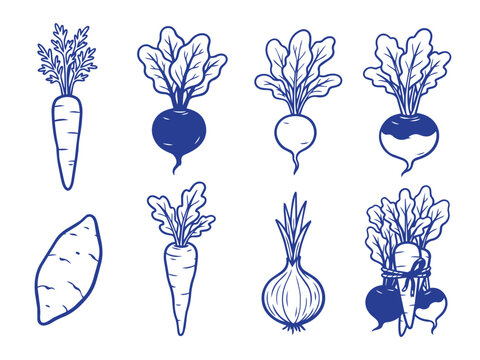 Vegetables vector set illustration with root crops like carrots beets and onions in blue line art