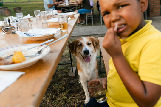 The Dog Under the Table