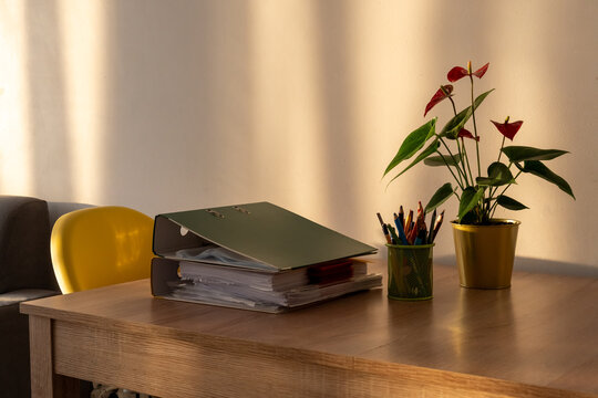 Office desk with stacked binders, colored pencils and red anthurium beside yellow chair. Concept of school administration, educational paperwork, lesson preparation and academic organization.