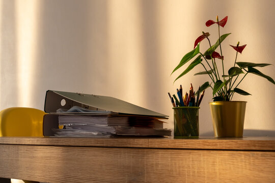Stacked folders with business documents, pencil holder and houseplant on sunlit wooden table. Concept of accounting, tax records, administrative workload, bureaucracy and document storage.