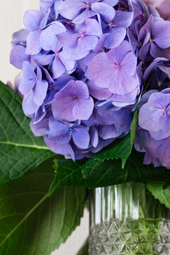 Purple hydrangea flowers in glass vase