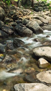 Vertical video - Timelapse of the flow of a small river