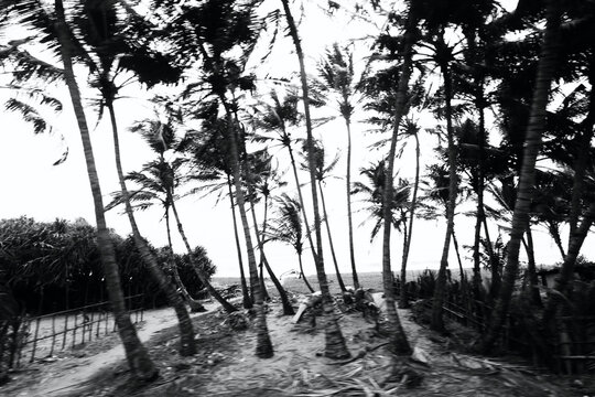 Rural Sri Lankan countryside viewed from a train ride.