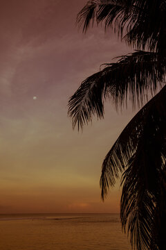 Sunset with moon on a tropical beach