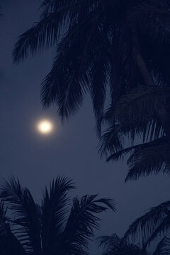 Moonruse on a tropical beach