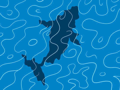 A whale as seen from above through rippling water
