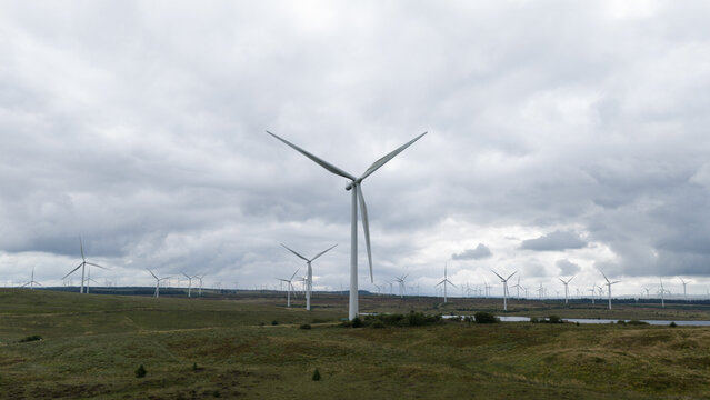 Aerial View of Whitelee Wind Farm in Scotland