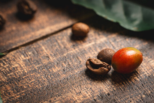 Coffee bean evolution from raw cherry to roasted seed