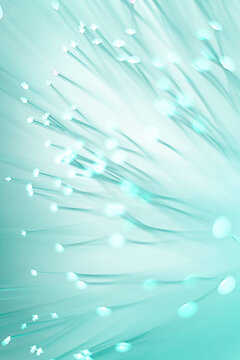 Colorful Light Strands Shine in a Soft Background