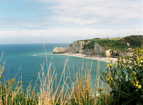 view over the famous Etretat cliffs behind flowers in bloom