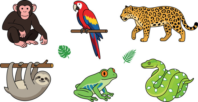 Cute cartoon rainforest animals vector collection featuring happy chimpanzee macaw leopard sloth tree frog and snake characters isolated on white background for children illustration