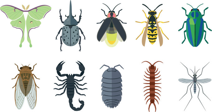 Detailed garden insects vector collection featuring luna moth rhinoceros beetle firefly wasp cicada scorpion woodlouse centipede and mosquito icons isolated on white background