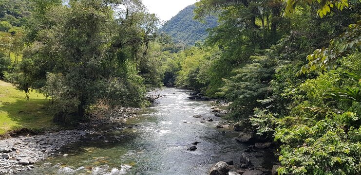 Paisajes inigualables: mares y bosques 