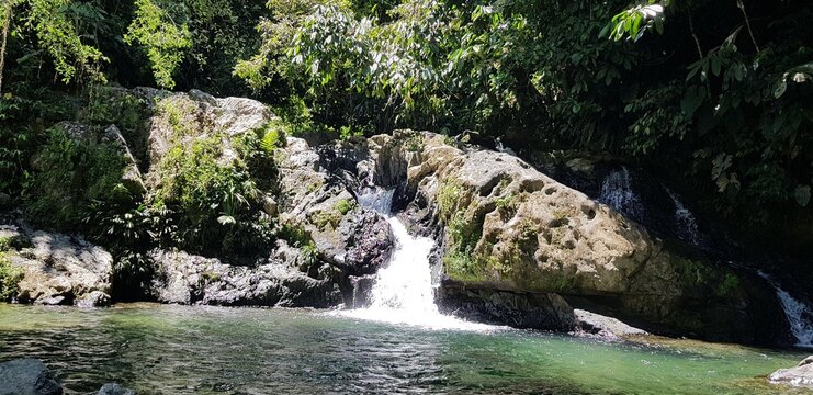 Paisajes inigualables: mares y bosques 