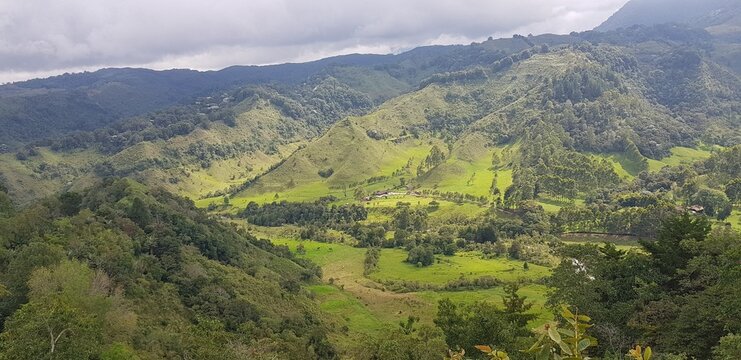 Paisajes inigualables: mares y bosques 