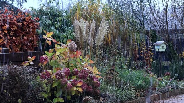 first snow falling in the garden in autumn

