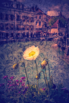 Annecy, Haute-Savoie, France: graphic reworking in floral style of the flowers and the old town skyline with crystal clear waters of Thiou River
