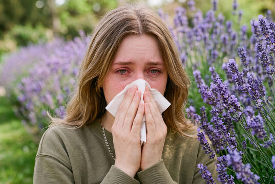 Young woman suffering from a seasonal allergy attack and allergic rhinitis in a lavender field.