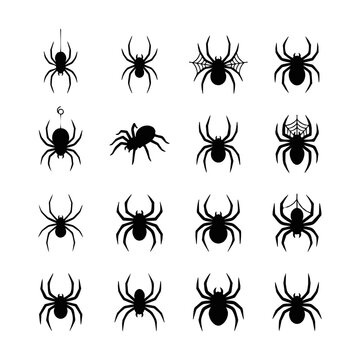Black silhouettes halloween spider collection for spooky decorations