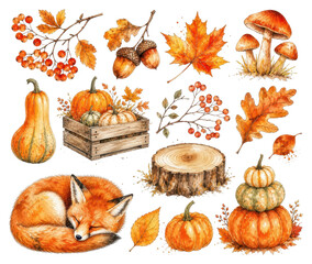 Fototapeta premium PNG Autumn watercolor set with pumpkins, leaves, mushrooms, fox