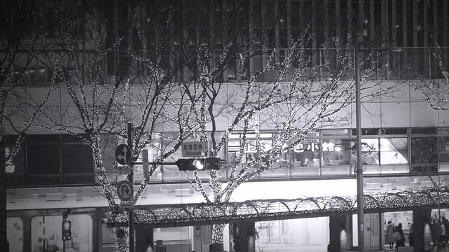 街路樹の光と高架高速道路が調和する夜の都市景観