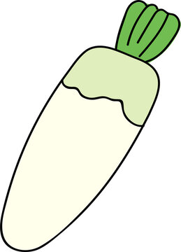 white radish vegetable