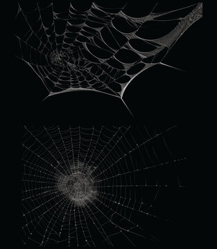 Spider web isolated on transparent background, creepy silk webs cutout with dew drops for Halloween designs