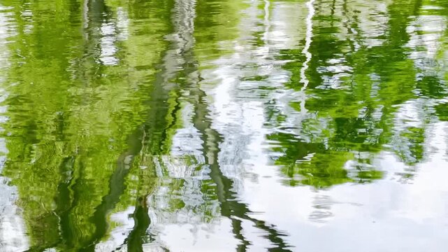 Reflejo de lago