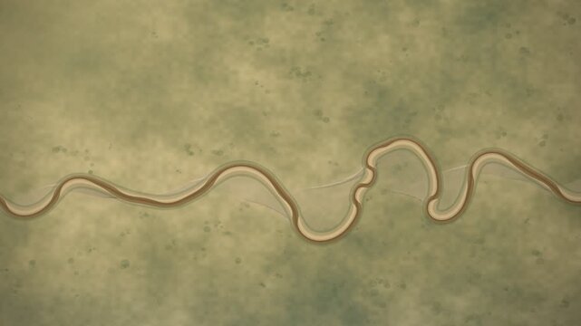 River Meander Oxbow Lake Formation Aerial Reveal