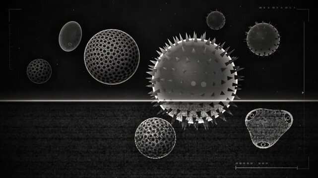 Pollen Grains Under Electron Microscope Scan Reveal